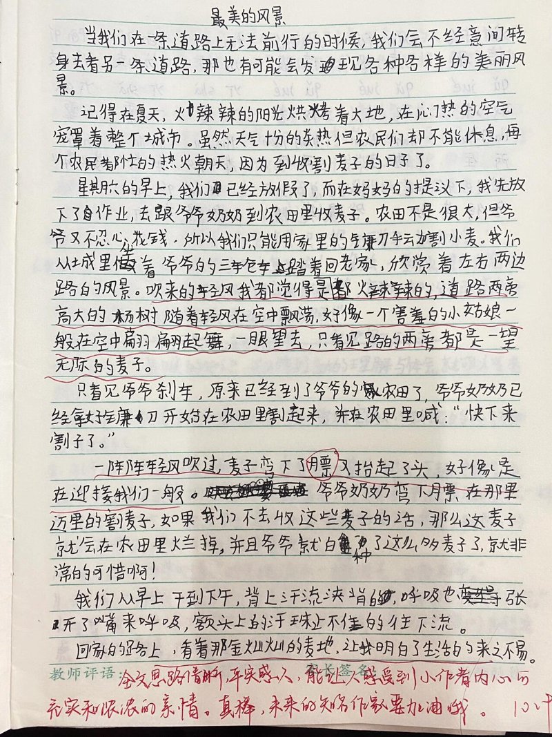 作文批改